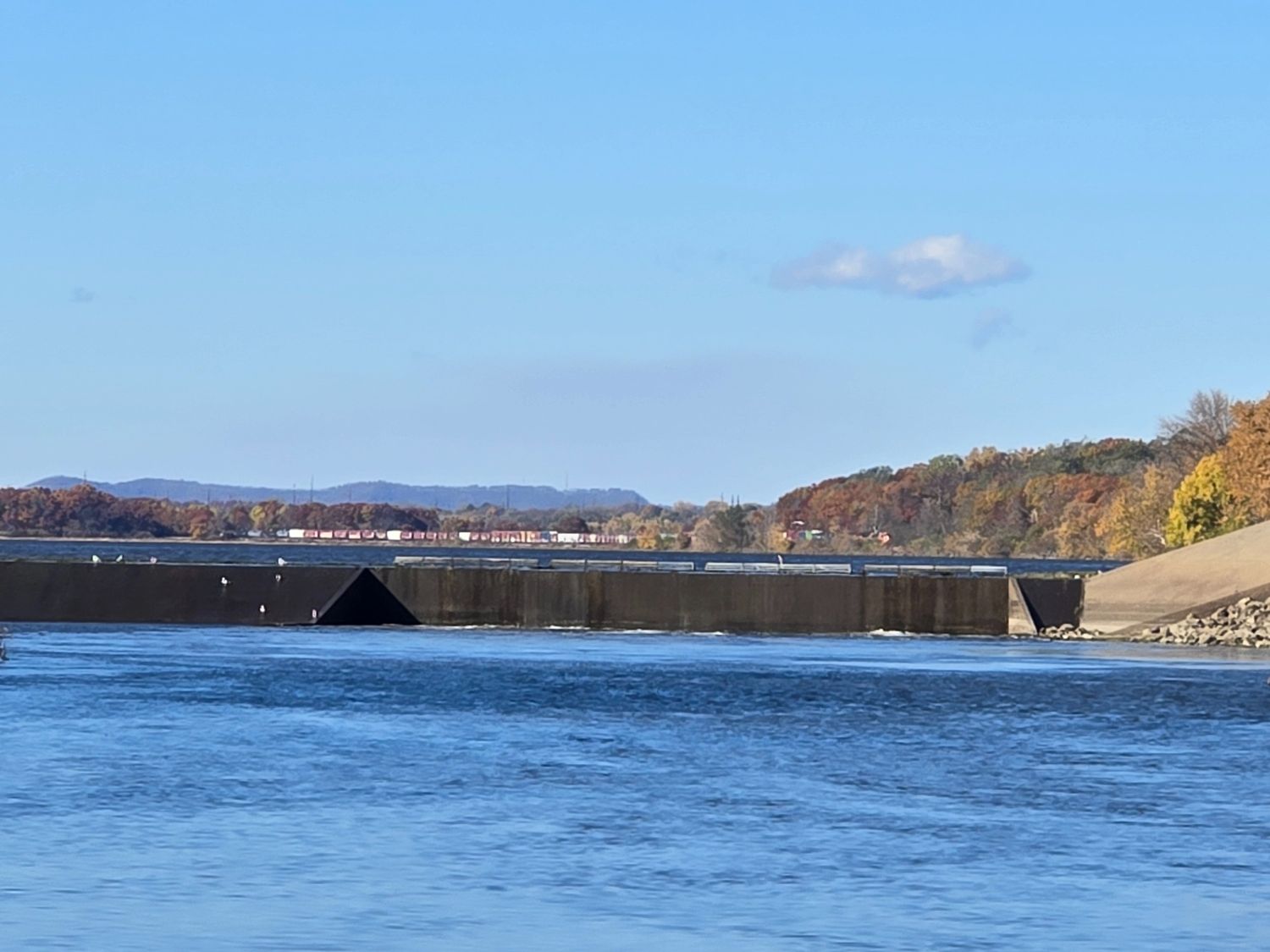 A wide shot of a distant frieght train along side the black river in Onalaska, WI